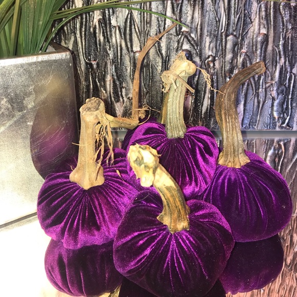 Velvet pumpkins - Picture 1 of 5